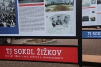 TJ Sokol Žižkov 150 05 foto Anežka Hesová